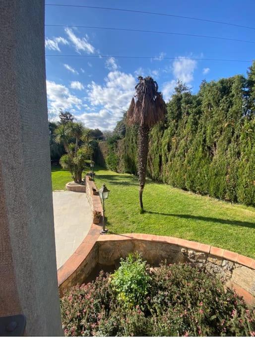 Exclusiva Casa de Lujo con Piscinas y Amplio Jardín en Zona Tranquila - Deluxe Villa - 6