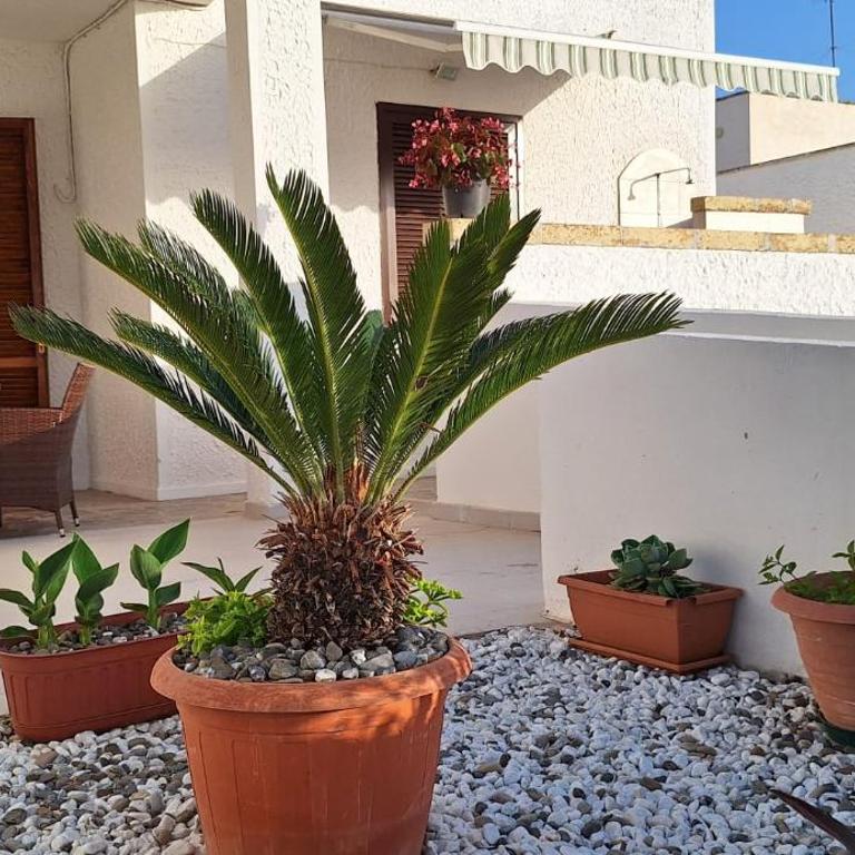 Villetta Lorena a Mancaversa - Casa con 2 Camere da Letto - 43