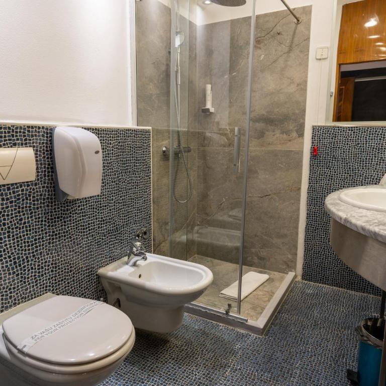 Hotel Astra - Deluks Dvokrevetna Soba s Bračnim Krevetom (2 odrasle osobe + 1 dete) - 10