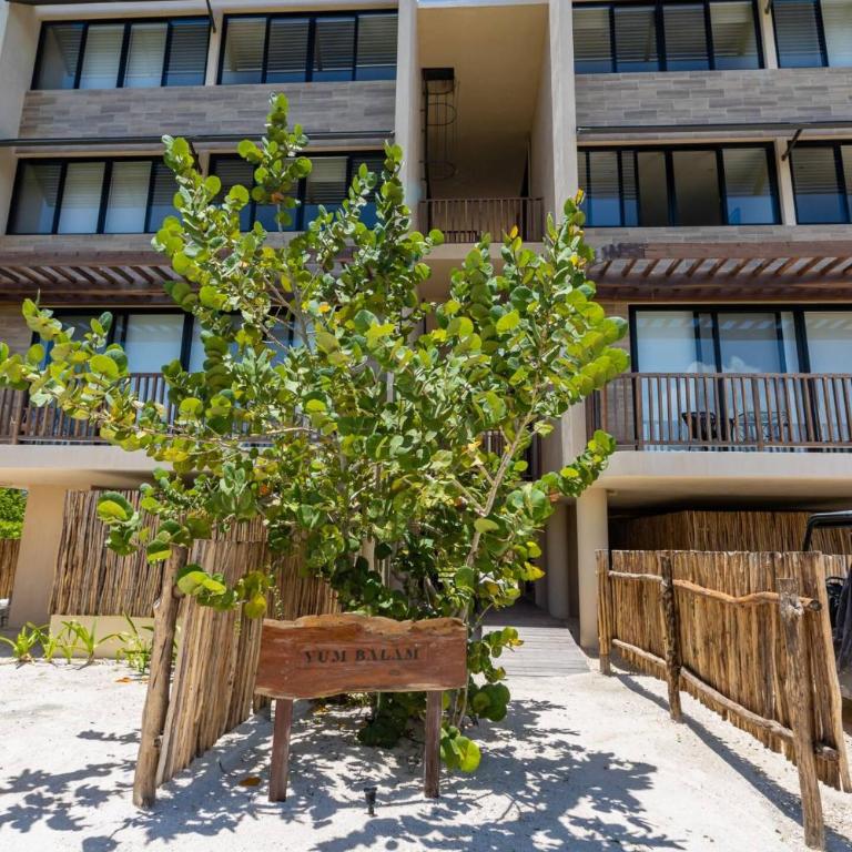 Pool View Loft Steps From The Ocean in Punta Cocos - C101 - Estudio con vistas a la piscina - 31