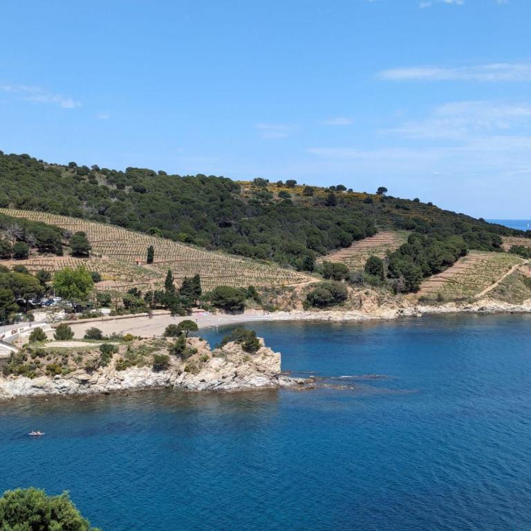 Grand studio avec vue sur la mer et parking - Apartment with Sea View - 1