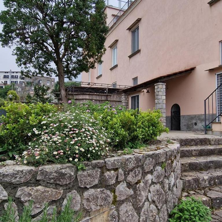 Sorrento View Villa - Casa con 2 Camere da Letto - 3