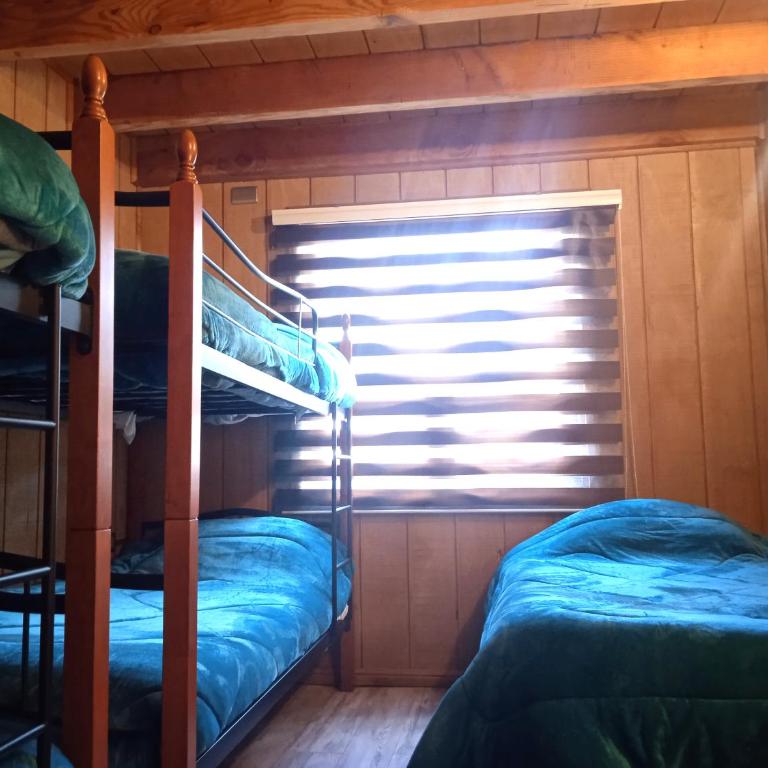 Mi Refugio del Sur - Casa de 4 dormitorios - 19