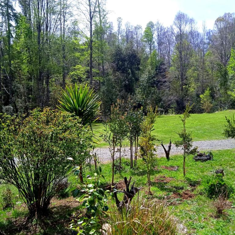 Mi Refugio del Sur - Casa de 4 dormitorios - 21
