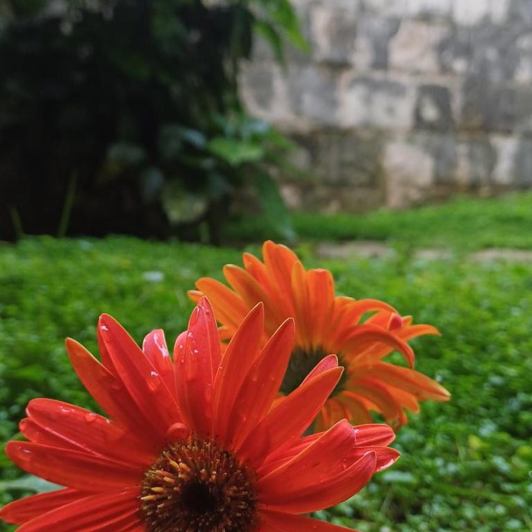 Apartman Stijepčić - Apartman - 14