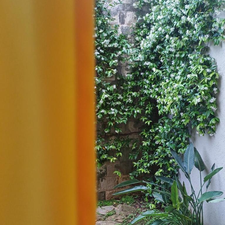 Apartman Stijepčić - Apartment - 13