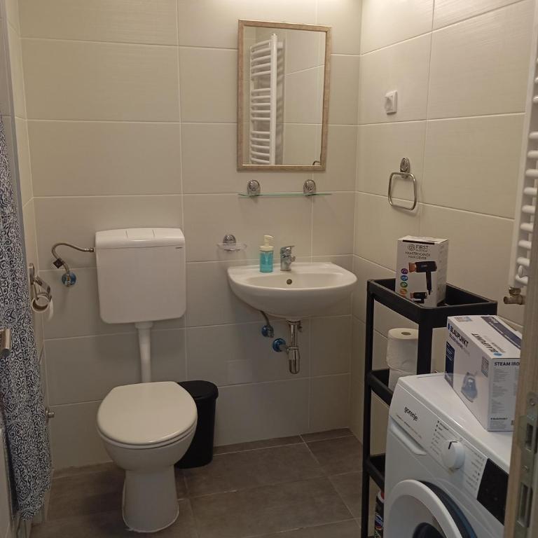 Antique Danube apartment - Apartman sa 1 Spavaćom Sobom - 11