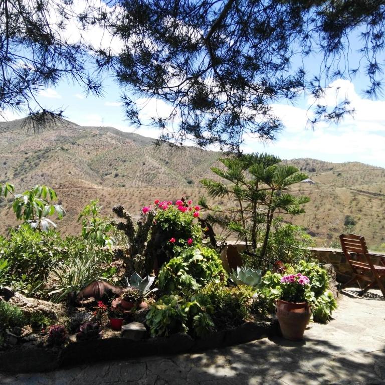 Pinar El Almendra - Casa de 3 dormitorios - 15
