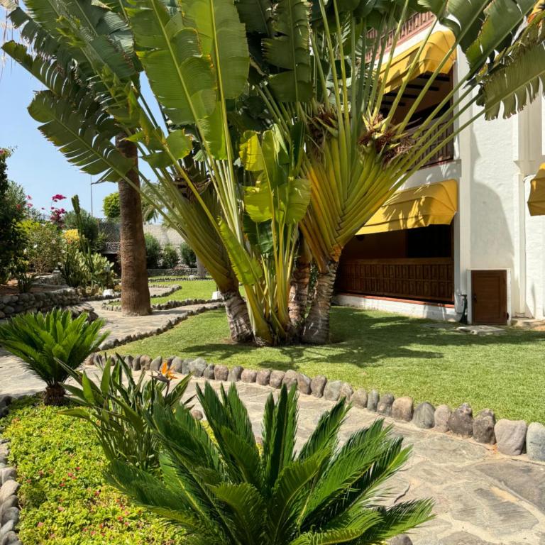 Canario Dunes Apartment - Apartamento de 1 dormitorio - 19