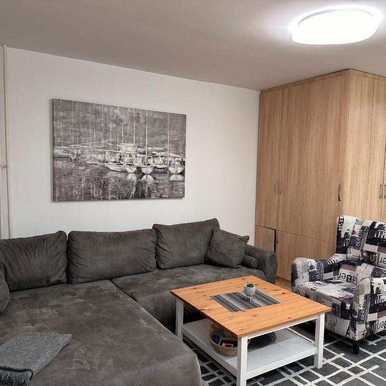 Apartment in New Belgrade Blok 30 - Apartman sa 1 Spavaćom Sobom - 21