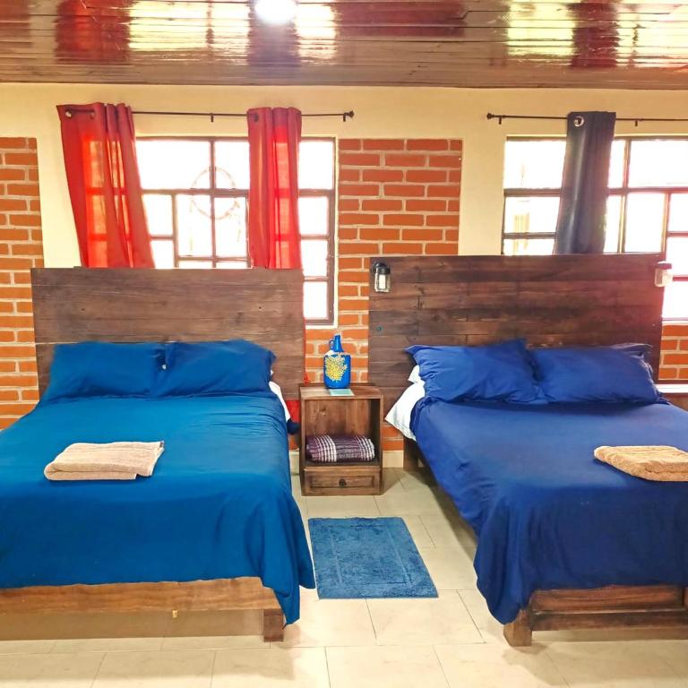 Casa Flor de Vida - Junior Suite - 2