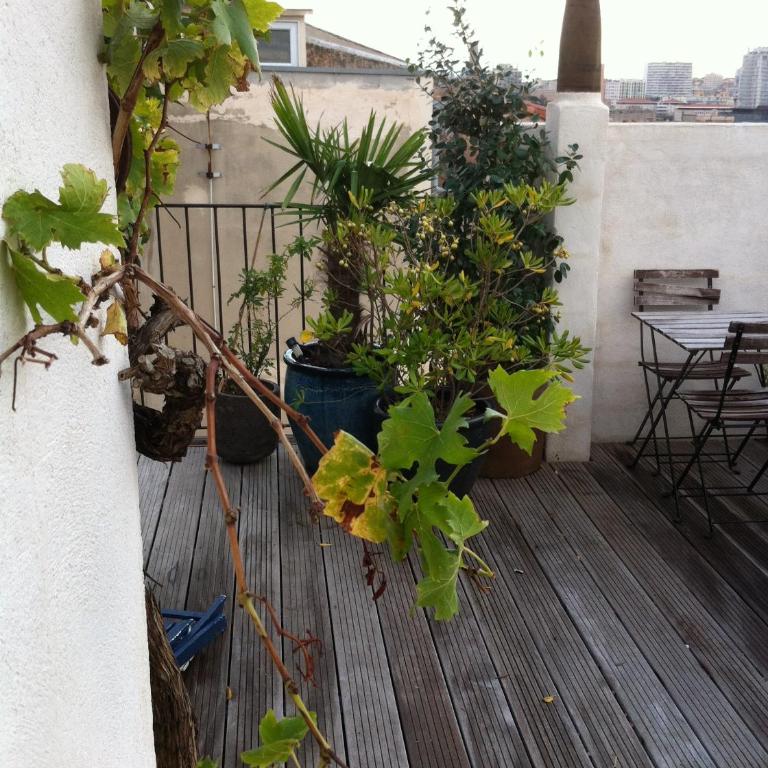 Adoramaar- le loft - Appartement avec Terrasse - 25