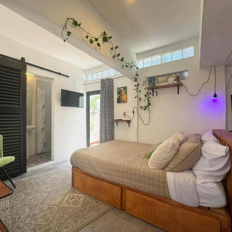 Studio Paloma - Zona Romantica - Apartamento de 1 dormitorio - 3