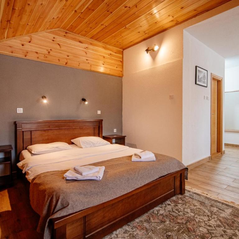 Hotel Zlatni bor - Deluxe Double Room with Extra Bed - 14