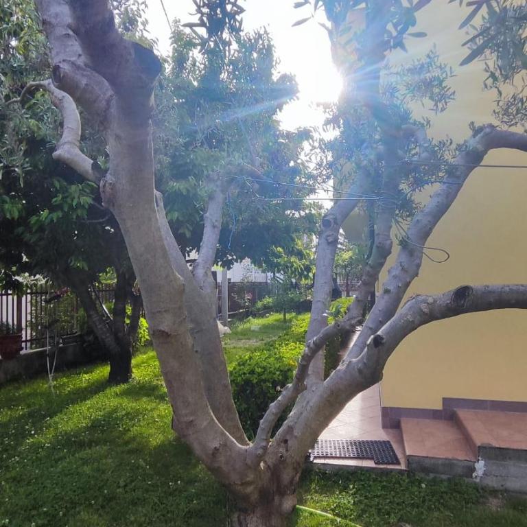 Casa vacanza SERENDIPITY HOME - Two-Bedroom Apartment - 28