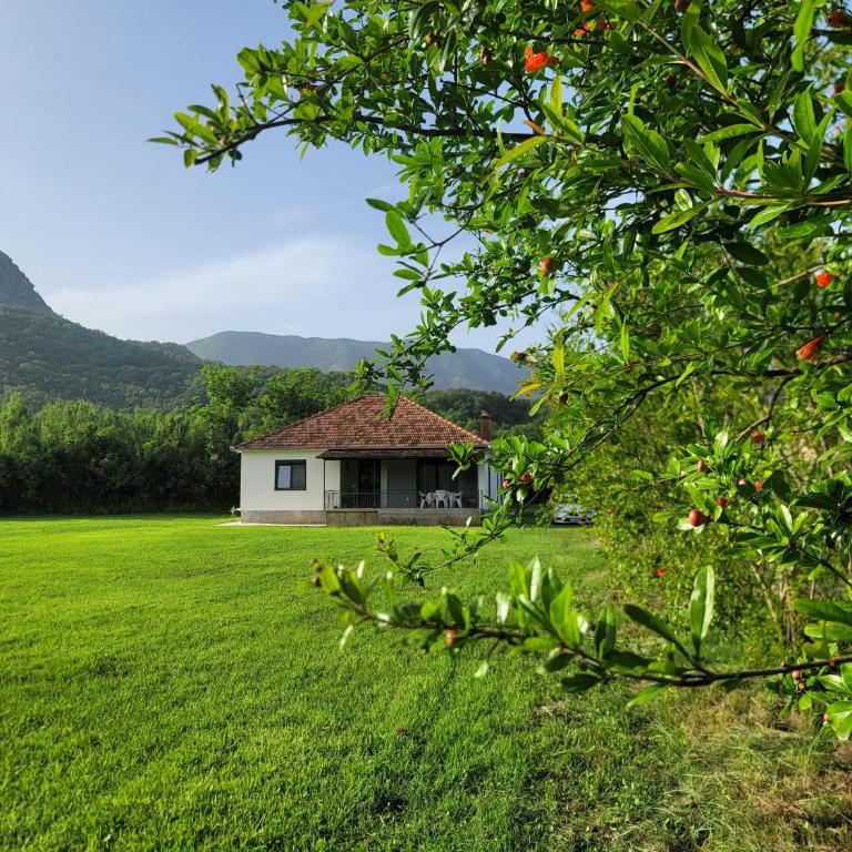 Casa L - Vila sa Pogledom na Vrt - 51