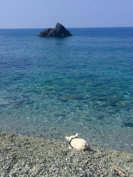 Romantic Nest close to Cinque terre, sea view - Appartamento con 1 Camera da Letto - 3