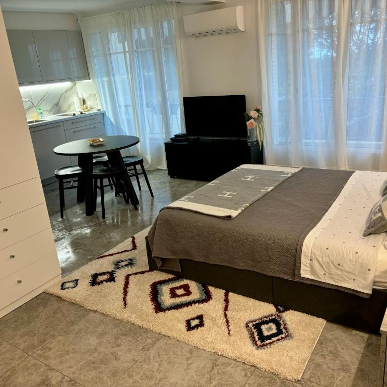 STUDIO near Monaco sea view balcony - Appartement 1 Chambre - 33