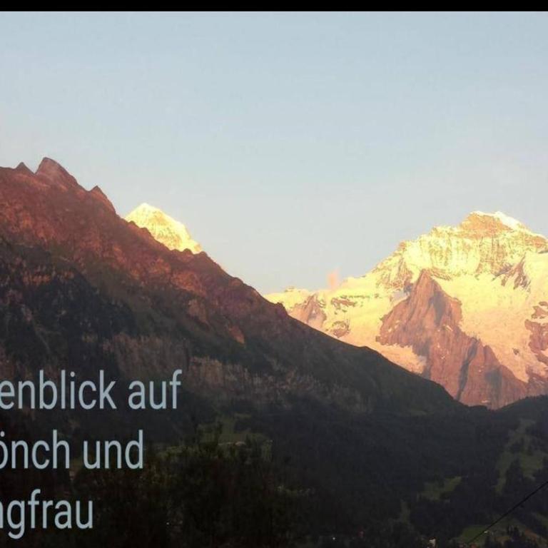 Chalet Mönchsblick - Apartment mit 1 Schlafzimmer - 9