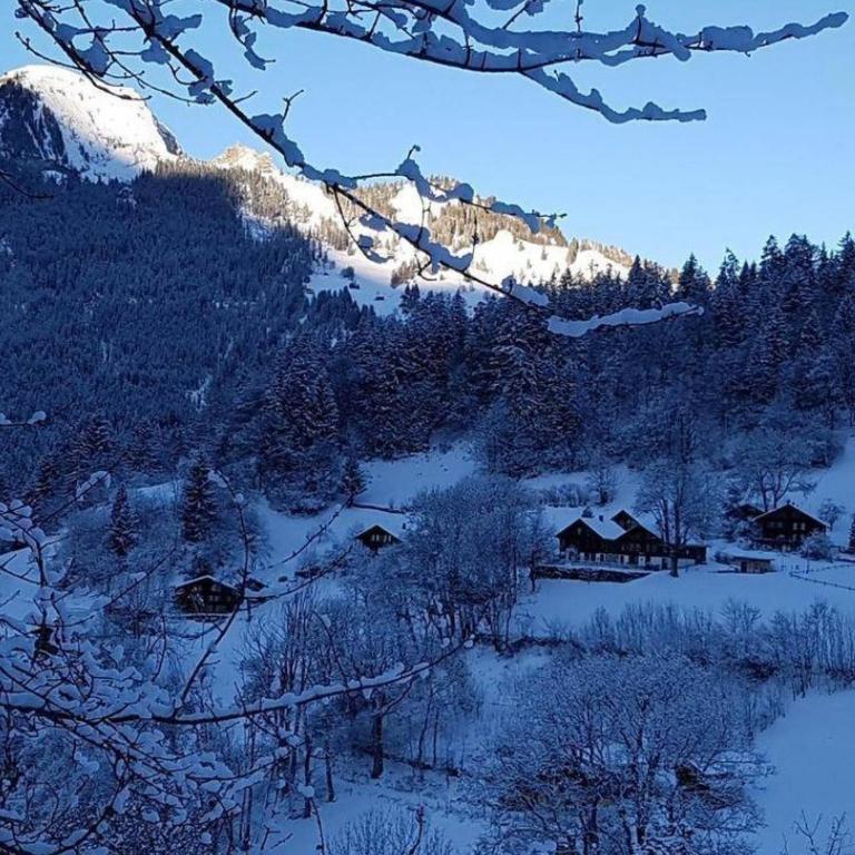 Chalet Mönchsblick - Apartment mit 1 Schlafzimmer - 14