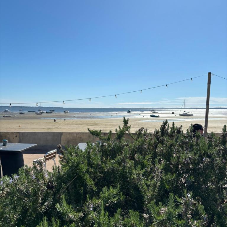 Azurea - Charmant appartement à Andernos-les-Bains - Appartamento con 1 Camera da Letto - 29