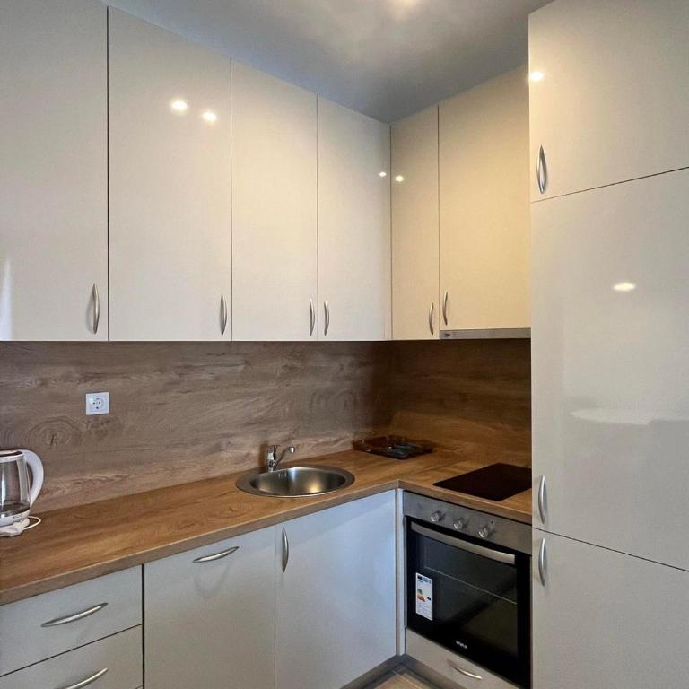 Rafailovici Beachfront Apartment 2 - Apartman s 1 Spavaćom Sobom, Pogledom na More i Terasom - 6