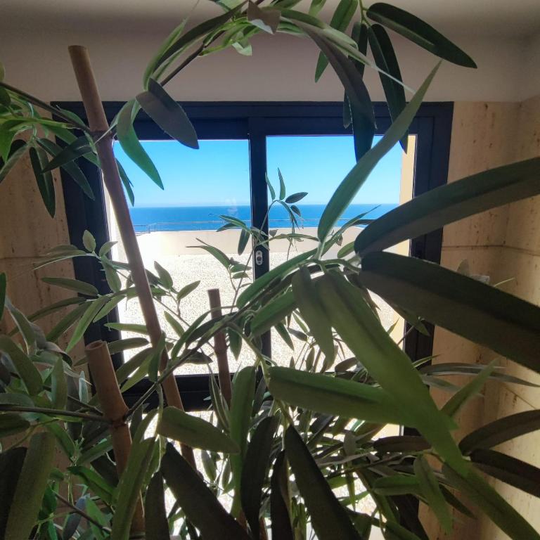 el mirador de aguadulce - Two-Bedroom Apartment with Terrace and Sea View - 15