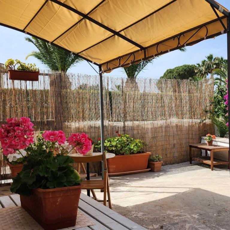 Villa Mediterraneo - Appartamento Superior - 4