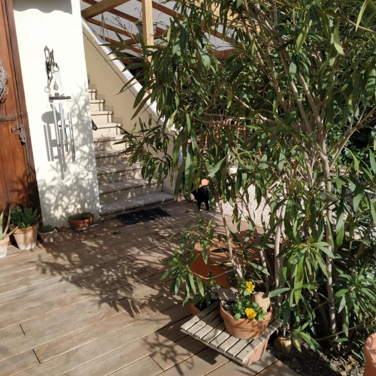 En ville avec un air de campagne - One-Bedroom Apartment - 17