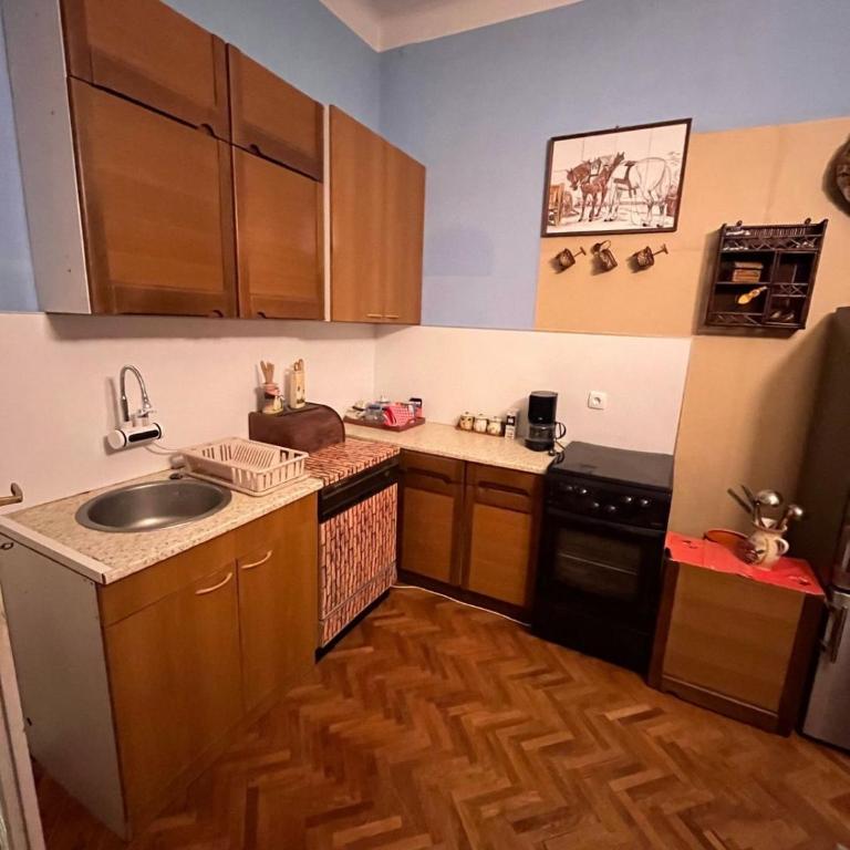Centar salonski stan - Apartman sa 2 Spavaće Sobe - 5
