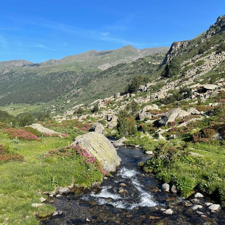 Apartamento junto a pistas en Canillo 2-8 HUT-7852 - Apartamento de 1 dormitorio - 23