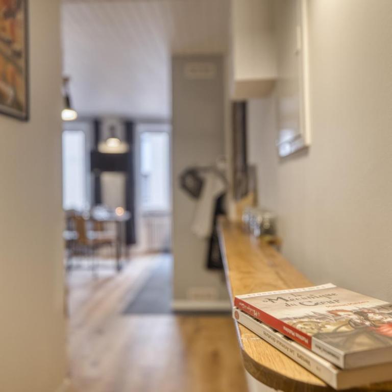 Dauphin vieille ville Annecy ancien couvent 1638 - One-Bedroom Superior Apartment - 9