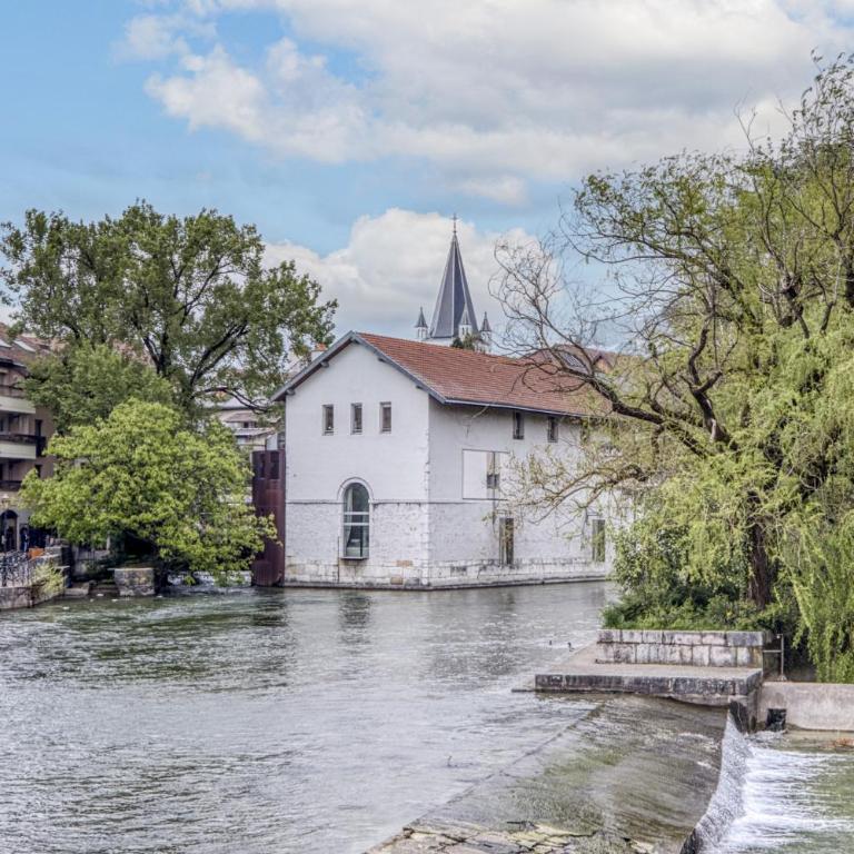 Dauphin vieille ville Annecy ancien couvent 1638 - One-Bedroom Superior Apartment - 20