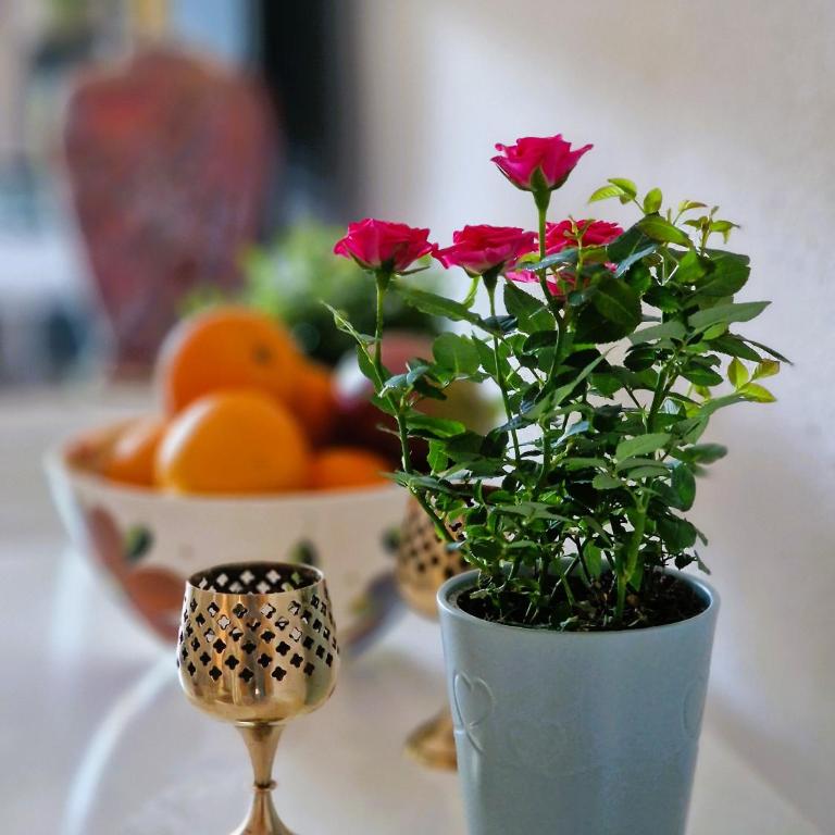 Happy in Holiday Miraflores Apartments - Apartamento de 2 dormitorios - 19