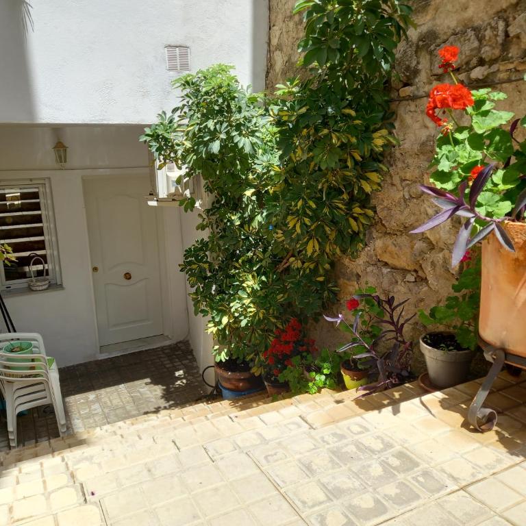 Alojamiento Vacacional Inma - Apartamento Superior - 4