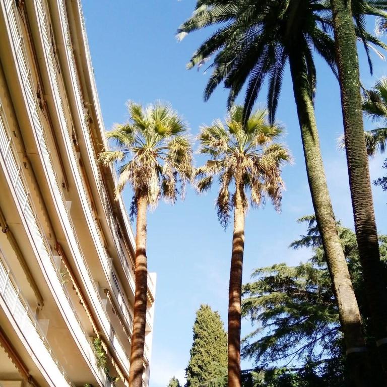 A083 - Modern & Bright apt - Cannes center - Appartement - 25
