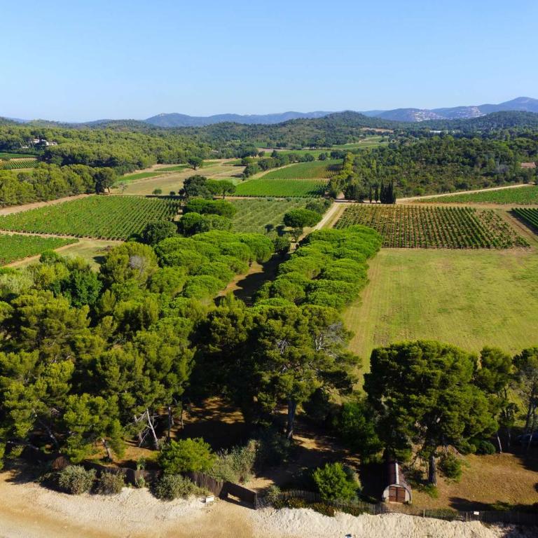 L'Oulivo, Villa pour 10 personnes avec piscine privée dans le Domaine de Valcros à La Londe-les-Maures - Ferienhaus - 32