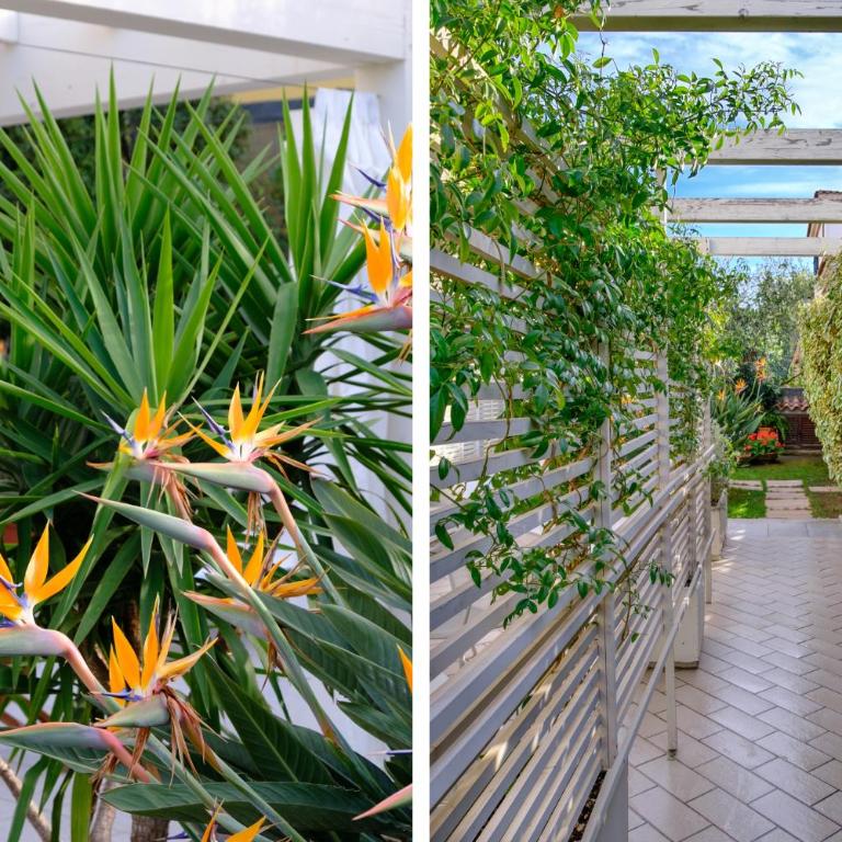 Orosei Home Holidays - Rimediu - Suite con Terrazza - 33