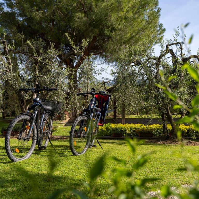 Villa Sunshine apartments - Appartamento con 1 Camera da Letto - 34