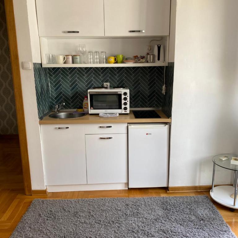 Nušićeva apartment - Apartman sa 1 Spavaćom Sobom - 6