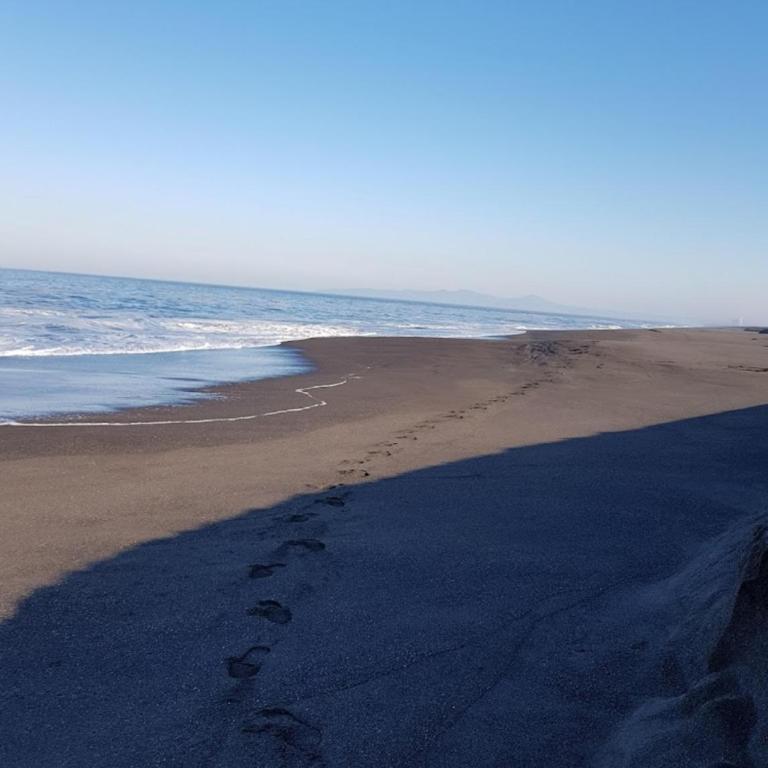 Depto con acceso a playa privada - Apartamento de 2 dormitorios - 10