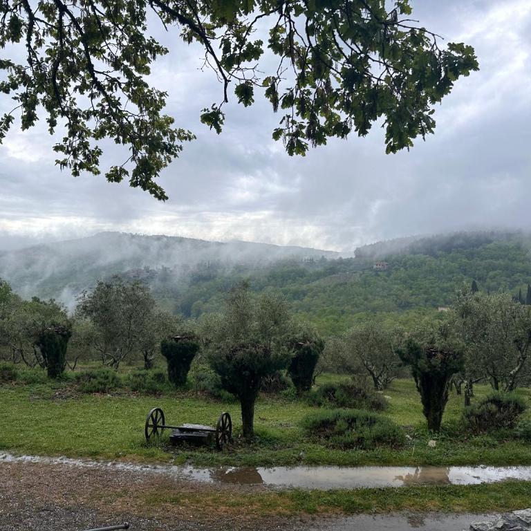 Podere Sagna - Appartamento con 1 Camera da Letto - 2
