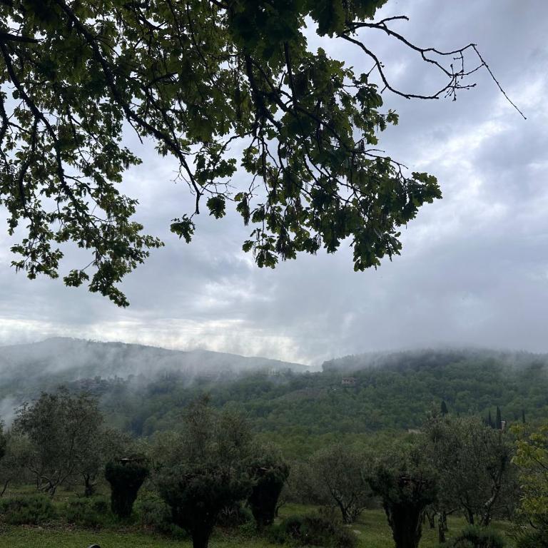 Podere Sagna - Appartamento con 1 Camera da Letto - 3