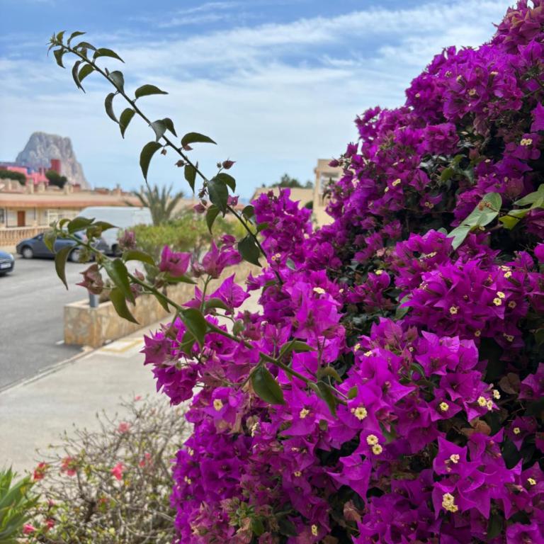 2 Bedroom Duplex i Calpe - Two-Bedroom Apartment - 4
