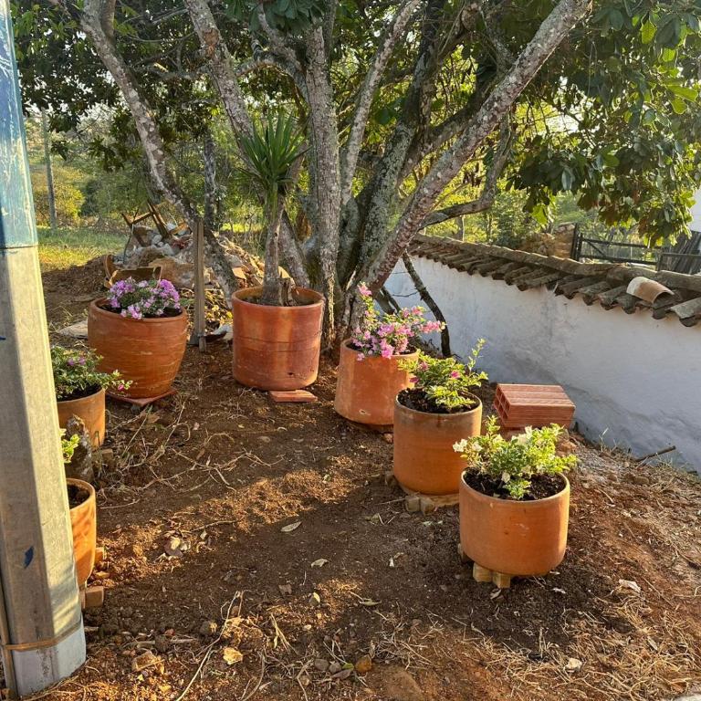 Finca las Tapias - Casa de 5 dormitorios - 12
