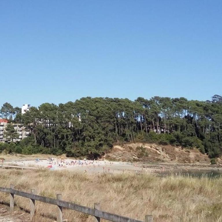 El pisito en Silgar-Punta Vicaño (Sanxenxo) - Apartamento de 3 dormitorios - 25