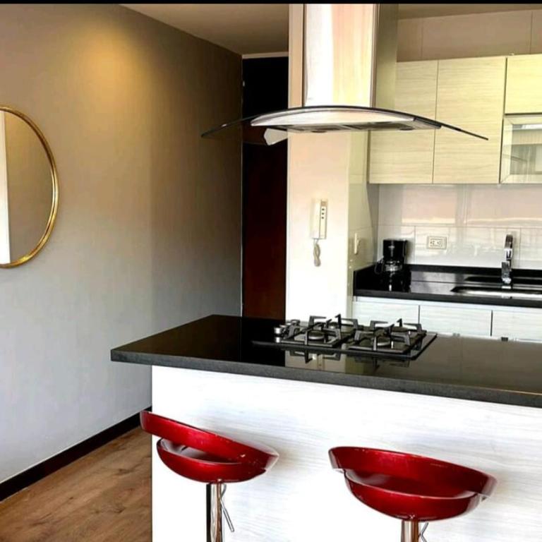 Hermoso apartamento 306 T.M. - Apartamento de 1 dormitorio - 4