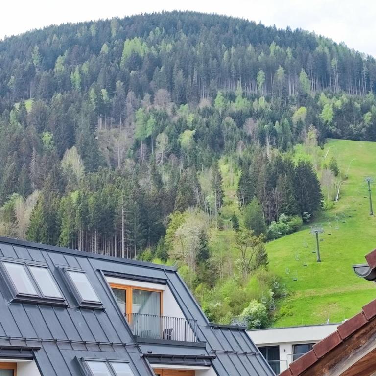 Alpinoase City Centre Zell am See - Apartment mit 3 Schlafzimmern - 29