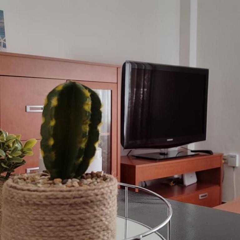Mi piso de la playa - Apartamento de 2 dormitorios - 12