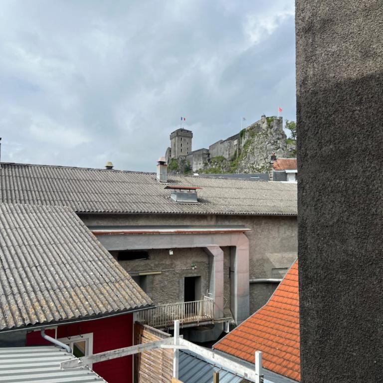 Résidence Selva Appartements à Lourdes proche sanctuaire - Studio Standard - 4
